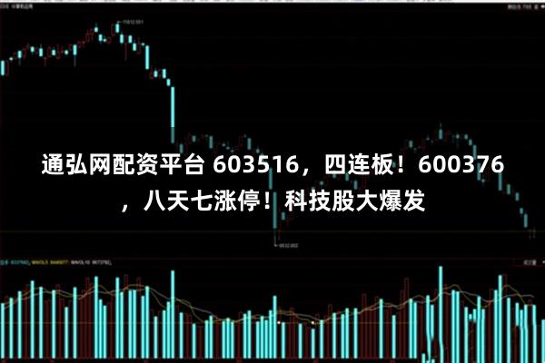 通弘网配资平台 603516，四连板！600376，八天七涨停！科技股大爆发