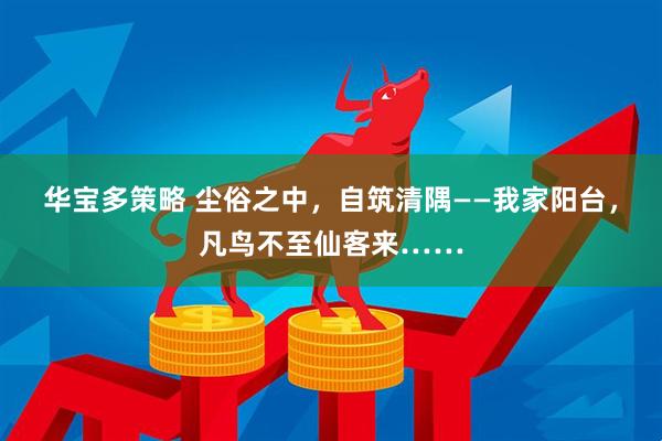 华宝多策略 尘俗之中，自筑清隅——我家阳台，凡鸟不至仙客来……